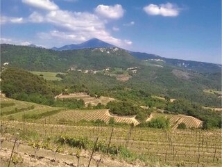 Ferienpark Aubignan Umgebung 29