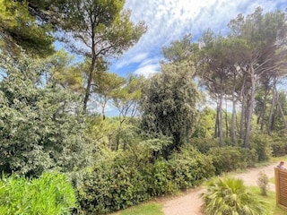 Vakantiepark Aubignan Omgeving 37