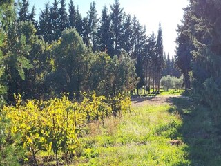 Parc de vacances Aubignan Environnement 17