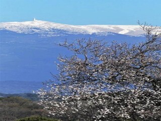 Vakantiepark Aubignan Omgeving 38