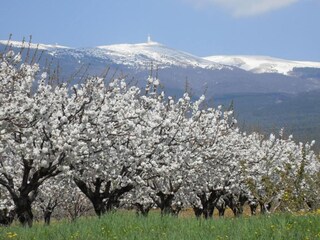 Vakantiepark Aubignan Omgeving 23