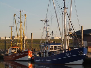 Kutterhafen