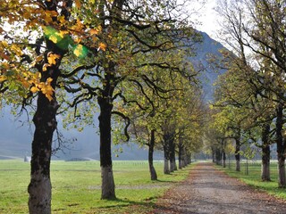 Apartamento de vacaciones Oberstdorf Entorno 20