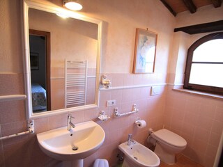 Fattoria Seggiano Caratteristiche 31