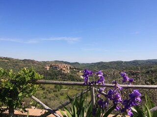 Fattoria Seggiano Ambiente 38