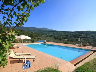 Fattoria Seggiano Registrazione all'aperto 18