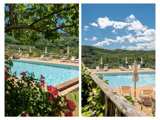 Fattoria Seggiano Registrazione all'aperto 17