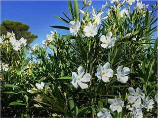 Casale Allègre-les-Fumades Ambiente 30