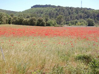 Casale Allègre-les-Fumades Ambiente 31