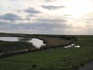 Deichlandschaft