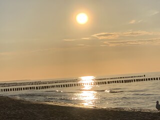 Apartamento de vacaciones Zingst Grabación al aire libre 3