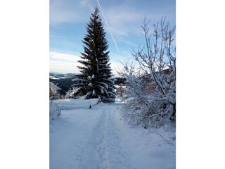 Appartamento per vacanze Deutschnofen Ambiente 25