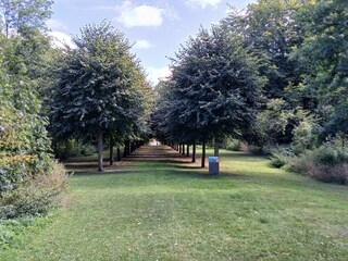 Casa de vacaciones Vellerup  5