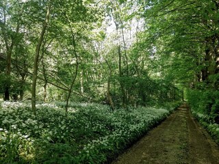 Casa per le vacanze Vellerup  36