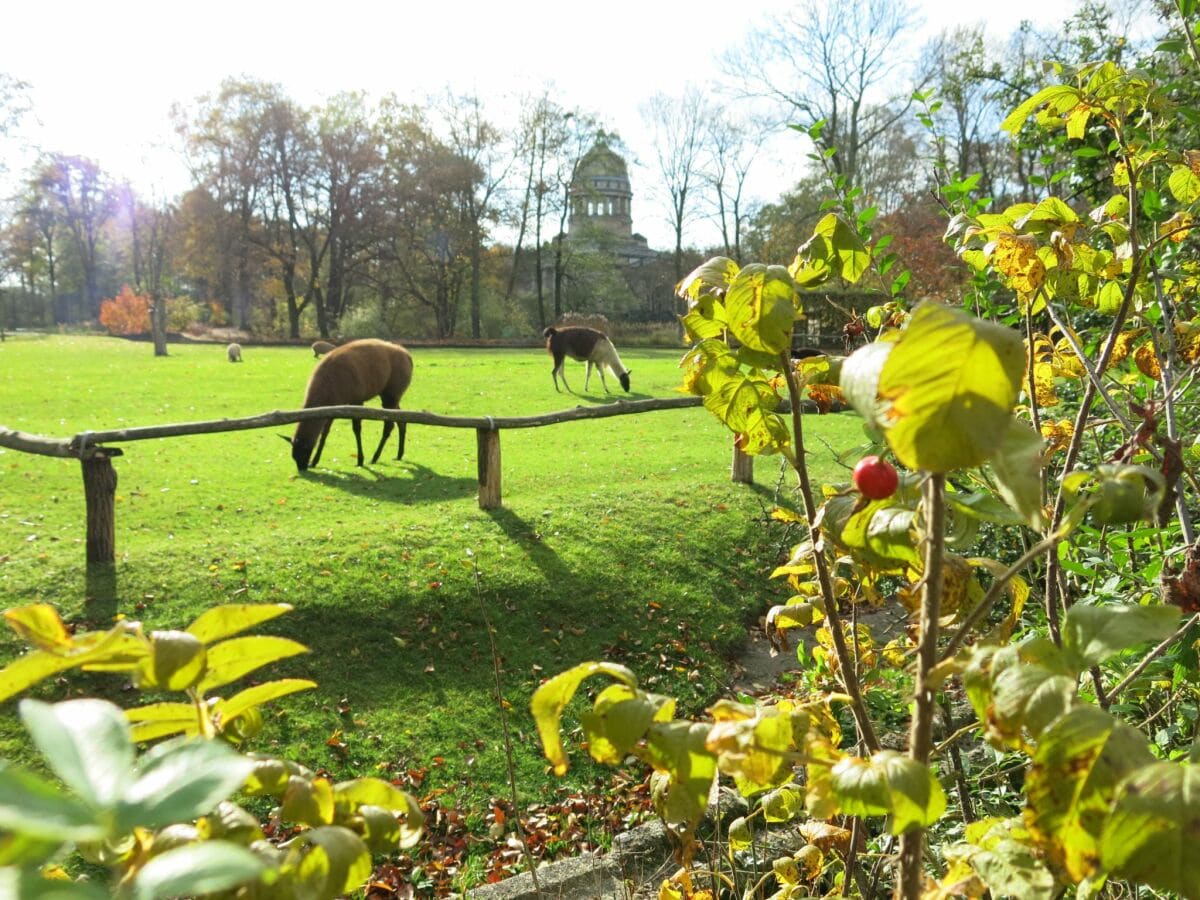 Tierpark Dessau