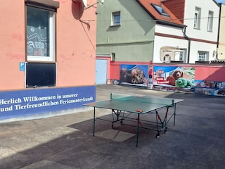 Tischtennis