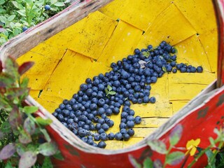 Holiday house Varekil  7