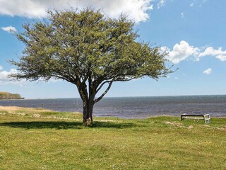 Ferienhaus Stavreby  9