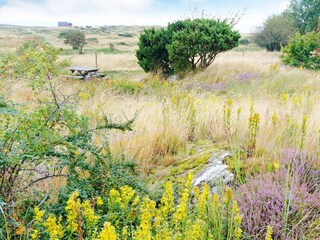 Ferienhaus Falkenberg (Schweden)  9