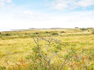 Holiday house Falkenberg (Schweden)  10