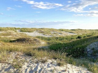 Vakantiehuis Kivik  18