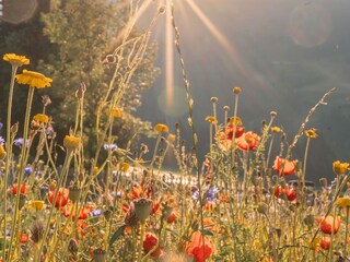 Maison de vacances Pichl Enregistrement extérieur 3
