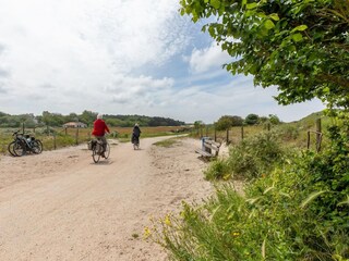 Maison de vacances Renesse Environnement 34