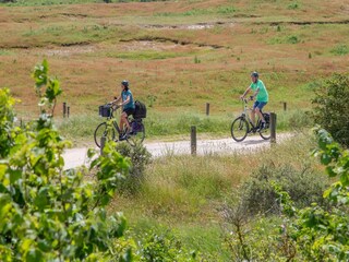 Maison de vacances Renesse Environnement 31