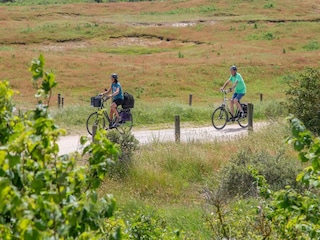 Vakantiehuis Renesse Omgeving 31