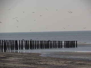 Casa per le vacanze Renesse Ambiente 37