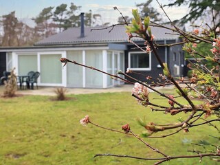 Ferienhaus Vaeggerløse  21