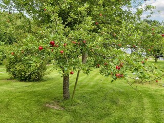 Casa de vacaciones Hejlsminde  23