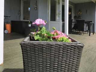 Ferienhaus Hou  16