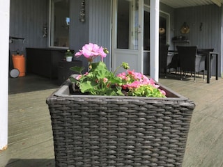 Maison de vacances Hou  15