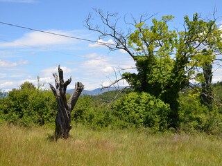 Casa per le vacanze Malaucène Registrazione all'aperto 6