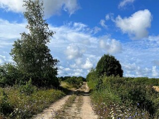 Vakantiehuis Welt  9