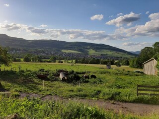 Blick auf Wüstensachsen