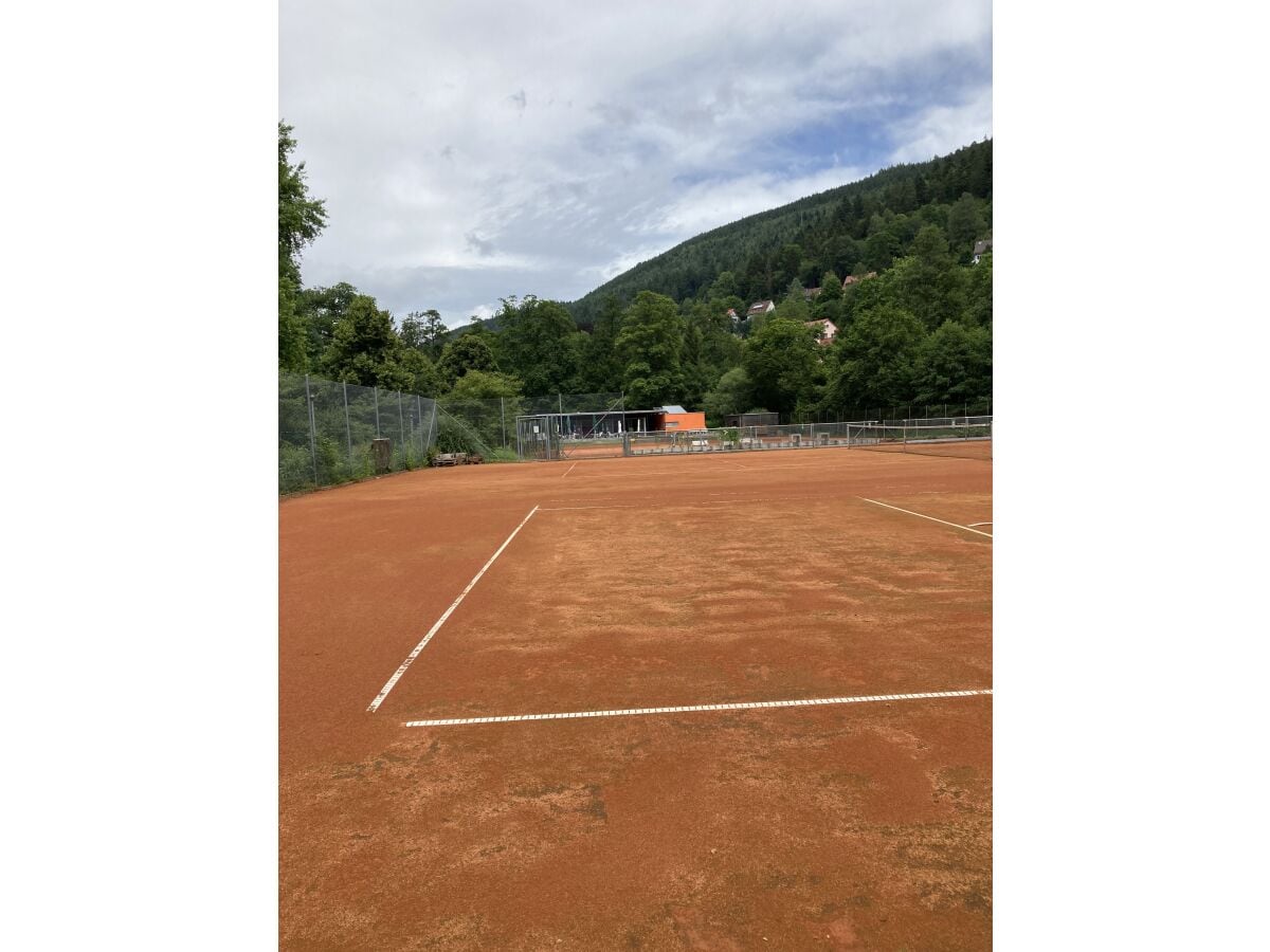 Tennisplätze