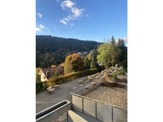 Holiday apartment Bad Wildbad Outdoor Recording 3