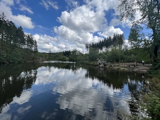 Apartamento de vacaciones Hahnenklee Entorno 18