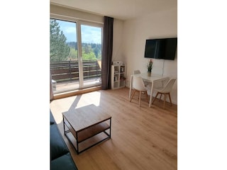 Apartamento de vacaciones Hahnenklee Características 1