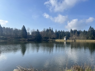 Apartamento de vacaciones Hahnenklee Entorno 19