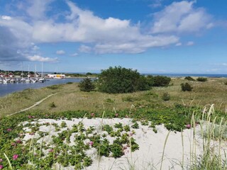 Vakantiehuis Hou  13