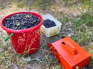 Ferienhaus Alsterbro  15