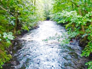 Vakantiehuis Alsterbro  19