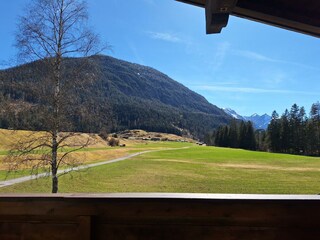 Haus Sprenger - Balkon Ausblick auf die Birke