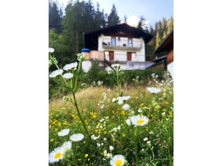 Haus