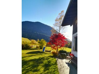IMG_20211022_161346