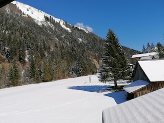IMG_20240325_105803 (1)