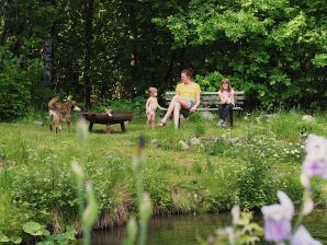 Berghütte Ferienparadies am Rennweg - Westlicher Rennsteig - image1